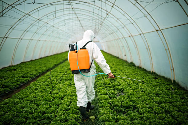 Best Affordable Pest Control Services  in Paradise Hills, NM