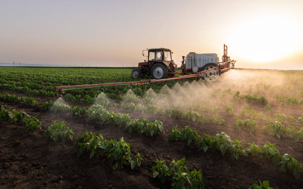 Best Pest Control Cost  in Paradise Hills, NM
