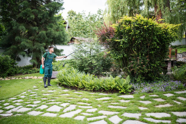 Best Pest Inspection Near Me  in Paradise Hills, NM