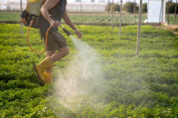 Best Pest Control Treatment  in Paradise Hills, NM