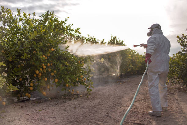 Best Pest Prevention Services  in Paradise Hills, NM