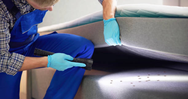 Best Residential Pest Control  in Paradise Hills, NM