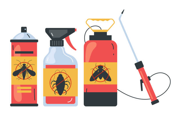 Best Spider Control Near Me  in Paradise Hills, NM